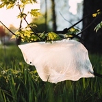 Plastik Poşetler Ücretli Oluyor