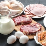 Hayvansal Protein mi Bitkisel Protein Mi?