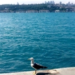 İstanbul'un Ruhu ve Gökyüzünü Çalan Betonlar