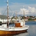 STAVANGER NORVEÇ GÜZELİ