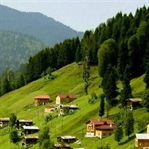 YEŞİL RİZE