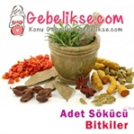 Adet Söktürücü Bitkiler Nelerdir?