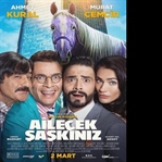 Ailecek Şaşkınız | Film Yorumu