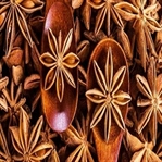 Anasonun Faydaları