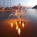 Bodrum: Gümüşlük ve Gün Batımı