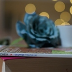 Geçmişe Yolculuk - Stefan Zweig