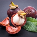Kabuğunun Arkasındaki Kraliçe: MANGOSTAN