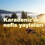 Karadeniz’in nefis yaylaları