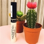 Rimmel London Magnif'eyes Eye Primer
