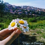 Seni Sen Yapan Sevdiğin Şeyler (MİM)