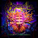 Shpongle- Alternatif Bir Müzik Önerisi