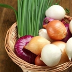 Soğan Kürü Nedir? Faydaları Nelerdir?