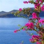 Yine de Kaş