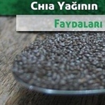Chia Yağı ve Faydaları
