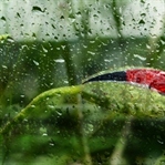 FOTOĞRAF SERGİSİ
