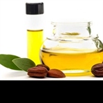 Jojoba Yağı ve Faydaları