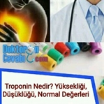 Troponin Nedir?Yüksekliği,Düşüklüğü,Değerleri