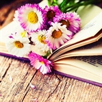 Geçtiğimiz Aydan Dizi,Kitap ve Şarkı Favorilerimiz