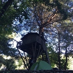 Kaz Dağları Kampı
