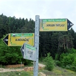 SAFRANBOLU – YENİCE ORMANLARI