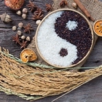 Felsefi Olan Beslenme: Ying Yang Beslenme