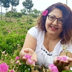 Türkiye’nin çiçek bahçesi Isparta’da gül hasadı