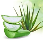 Aloe Vera ile zayıflamak mümkün mü?
