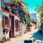 Ben Artık Şarkı Söylemek İstiyorum