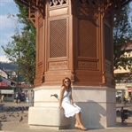 Bosna-Herkes Gezisi