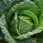 K Vitamininin 11 İnanılmaz Sağlığa Faydası