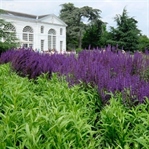 LONDRA – LONDRA’DA PARKLAR II , Kew Gardens
