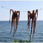 Midilli Adası Gezi Notları