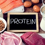 Proteinin Beslenmedeki Önemi ve Protein Tüketimi