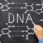 TAGTGCGTGAGTACACA: DNA