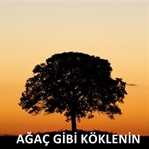 Ağaç Gibi Köklenin
