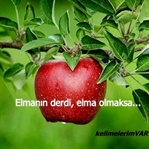ELMANIN DERDİ, ELMA OLMAKSA...