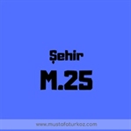 M25 Şehir