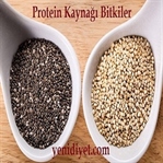 Protein Kaynağı Bitkiler