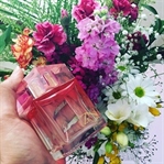 SHISEIDO ZEN SUN EDP İNCELEMESI