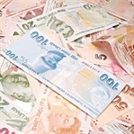 Varlık Yönetim Şirketi Nedir?