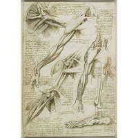 Da Vinci'nin Yapılacaklar Listesi