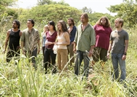 Lost’ Un Kahramanları Meğerse Tavşanmış