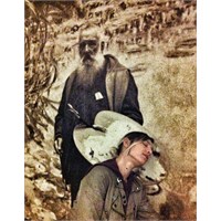 Monet’nin Bahçesinde Gezerken