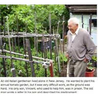 Hayırlı Evlat Vincent