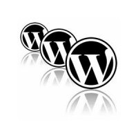 Wordpress Türkçeleştirme