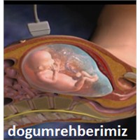 Doğmamış Bebeğe Sağlık Testi