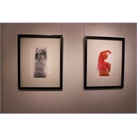 "The Last Sitting"By Bert Stern