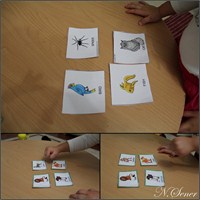 3-6 Yaş İngilizce Öğrenme