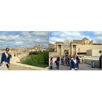 Cordoba