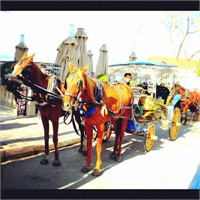 Büyükada'da Haftasonu